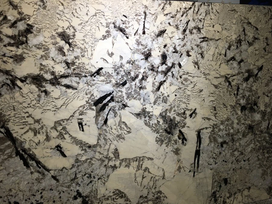Alaska White Granite Polished Slab