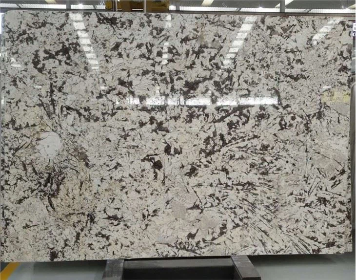 Alaska White Granite Slab Polished